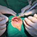 젠치과의원 이미지