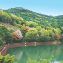 완도수목원 노컷뉴스