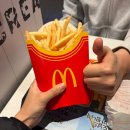 패밀리피자치킨 | 맥도날드 신메뉴 후기｜패밀리 감자튀김 XL · 페페로니더블피자버거 · 해피스낵 치킨모짜렐라스낵랩