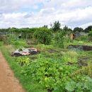 가든키친(Garden Kitchen) 이미지