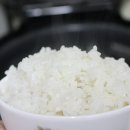 흙애서
