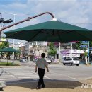 그늘막80 이미지