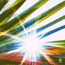 리코(rico) 이미지