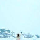 대관령 양떼목장 폭설 후기 ㅋㅋㅋ 스노우 체인 / 애견동반 식당 HIVE