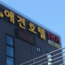 명품 애견유치원 호텔 이미지
