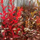 성찬농장 이미지