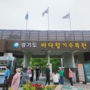 동주충전소 | 안산 12경 새롭게 추가된 대부도바다향기수목원, 직접 다녀온 힐링 산책기