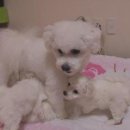 공세농장 이미지