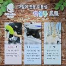 캣살롱코코 이미지