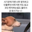 미소 이미지