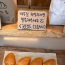 염전의봄 이미지