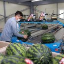 진안고원 골프연습장 이미지