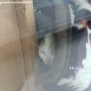 동부카공업사 - 광진구 동일로 374 | 동부카공업사