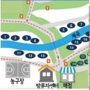광장로4번길 | 과천 [서울대공원 캠핑장] 텐트• 피크닉존, 계곡, 놀이터 상세한 후기 함께 하시죠 🤍 / 러브버그 있을까?
