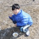 용인대 제일 태권도장 이미지