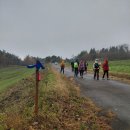 팀하트의원 | 제주올레트립 25년 가을 미야기올레 트레킹 인솔 후기 - 2편 (인솔자 TOM)