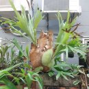 대만에 온지 14일째 이미지