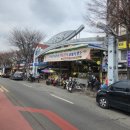 지아네청과 | 서울 광장시장이랑 청계천 다녀왔어요!