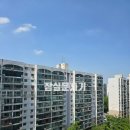 장미아파트 네이버블로그