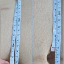 위더스사우나 이미지