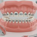 나비엘 수유 갤러리 이미지