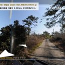 굿모닝제주공인중개사사무소 이미지