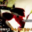 건능골농장 티스토리