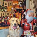 메종VIP203 이미지