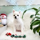 어서왈왈 이미지