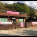 그대애개 | 용인 수지구 애견호텔 그대애개 사진과 영상으로 안심 가능한 케어