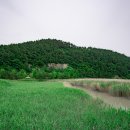 순천만습지 이미지