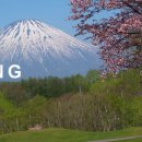 (주)웰빙투어 이미지