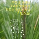 뉴바디센터