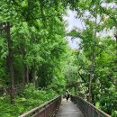 금호공원체육관 이미지