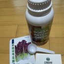산들농장 | Review | 20대주말농장 산들마켓 후레쉬적치마 키우기...그린으로 시작한 병해관리용유기농자재 사용 후기