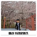 카페브라운 | 창원 벚꽃 카페 마산 브라운핸즈 아이와 방문후기