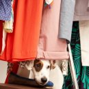 하이 동물병원 이미지