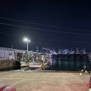 구룡포 아라축제 | [포항 야시장] 구룡포 해양미식축제 후기