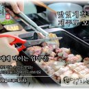 돼지가 미소지을때 이미지