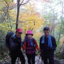 중앙레스파 이미지