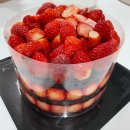 성심당 화이트딸기시루 주말 웨이팅 구매 후기