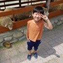 태호목장 이미지