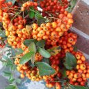 과일방 - 논산시 계백로 791 | 과일방