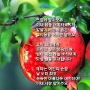 친절한 복희씨 | 師心自用(사심자용)