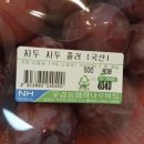 오늘도푸드
