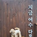 다옴 애견동반 펜션 이미지