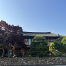 바빴던 이번주 일상