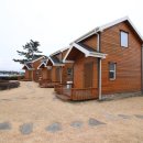 횟집갈래 이미지