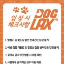 도그렉스 이미지