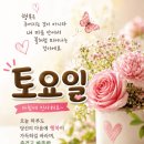 🐞부산 벙개모임 실시간 토욜 출석부(6/27)🐞 이미지